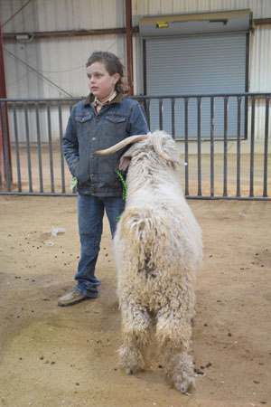 Yearling Bucks 0218A