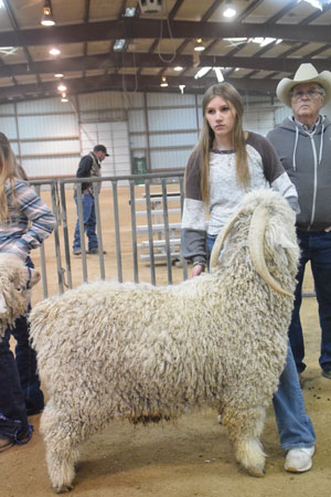 Yearling Bucks 0221B