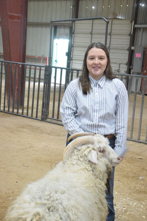 Yearling Bucks 0232A