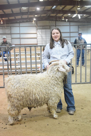 Yearling Bucks 0232B