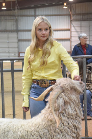 Yearling Bucks 0239B