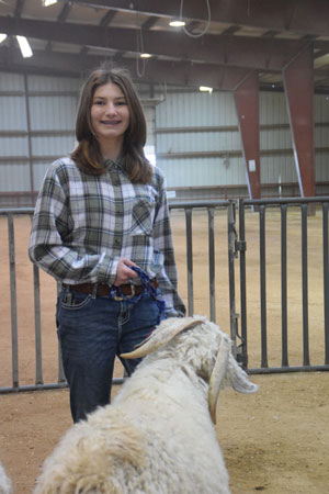 Yearling Bucks 0245A
