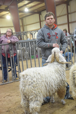 Yearling Bucks 0247B