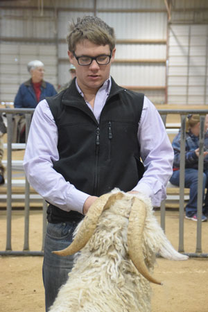 Yearling Bucks 0275A