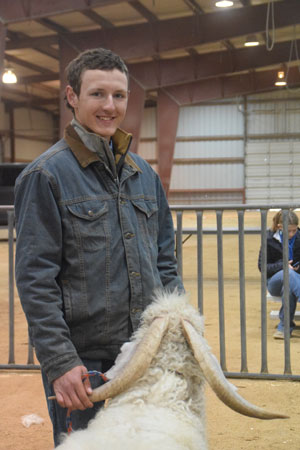 Yearling Bucks 0278A