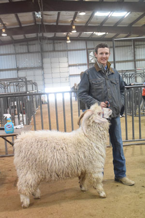 Yearling Bucks 0278B