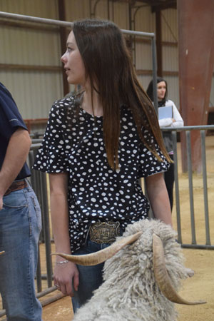 Yearling Bucks 0283A