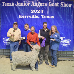 Champion Doe Backdrop